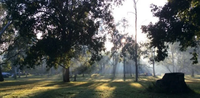 Bigriggen Park Campground, Campsite at Rathdowney | Book at Campedia.com.au