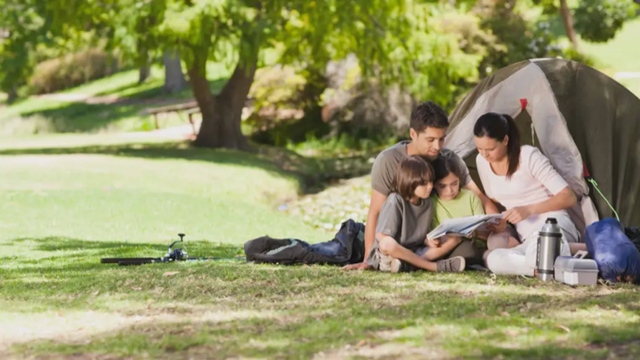 Bigriggen Park Campground, Campsite at Rathdowney | Book at Campedia.com.au