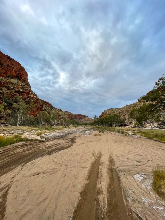 Ruby Gap Nature Park, Campsite at Hale | Book at Campedia.com.au