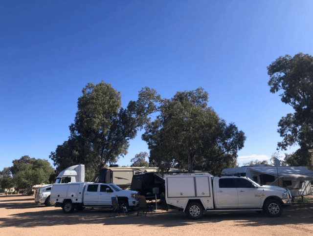 Augusta Caravan Park, Caravan Park at Stirling North | Book at Campedia ...