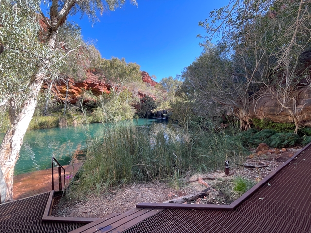 Fern Pool - Karijini National Park, Point Of Interest at | Book at ...