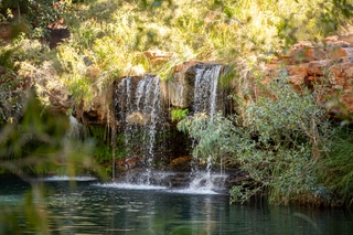 Fern Pool - Karijini National Park, Point Of Interest at | Book at ...