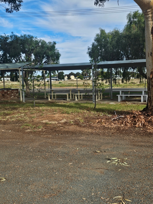 Hay Showground Camping Area, Campsite at Hay | Book at Campedia.com.au