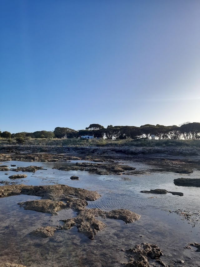 Len Barker Reserve Bush Campground, Campsite at null Book at