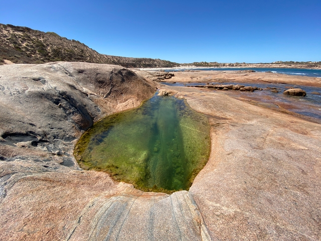 Point Brown Headland Rock Pools, Point Of Interest at Smoky Bay | Book ...