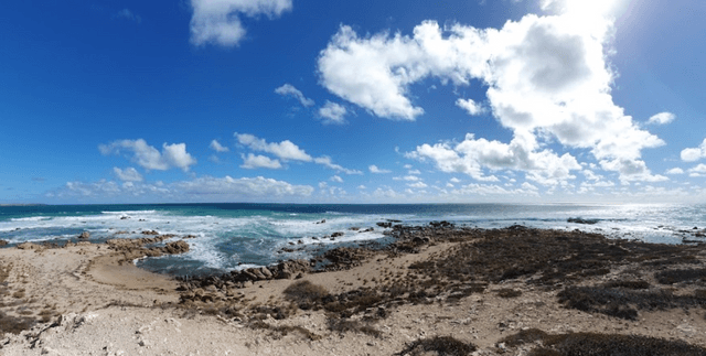 Swincers Rocks - Bush Campground, Campsite at Corny Point | Book at ...
