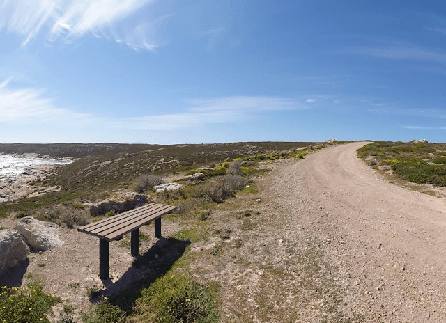 Swincers Rocks - Bush Campground, Campsite at Corny Point | Book at ...