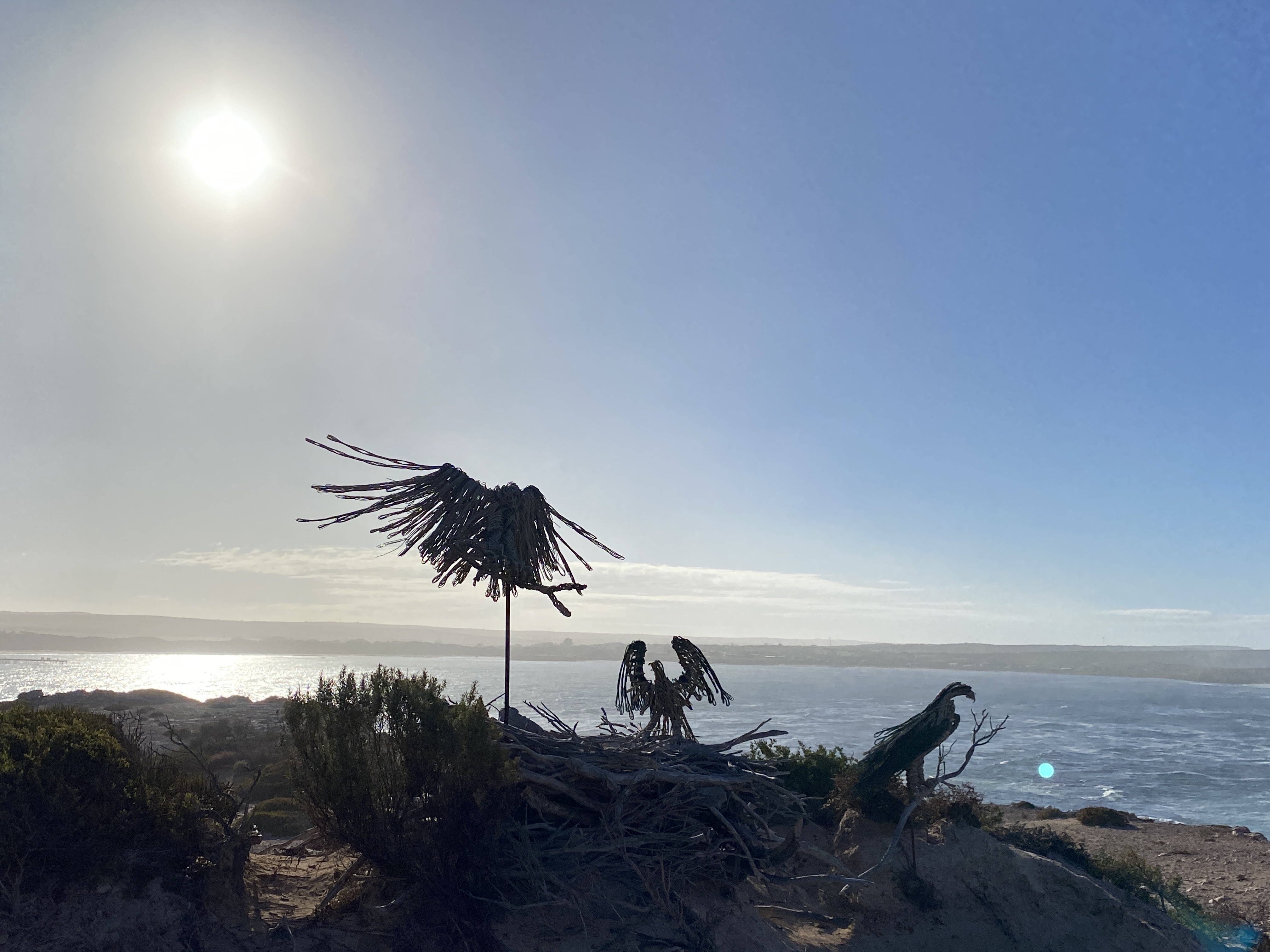 Elliston Coastal Trail Eagles nest sculpture, Point Of Interest at